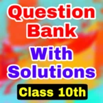 Logo of Class 10 Important Questions android Application 